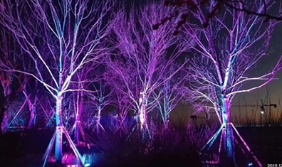 城市景觀亮化工程的形式(二) 城市景觀亮化工程的形式(二)