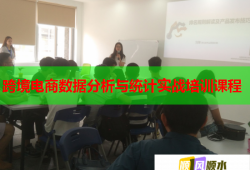跨境電商數(shù)據(jù)分析與統(tǒng)計實戰(zhàn)培訓課程