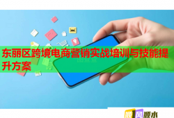 東麗區(qū)跨境電商營銷實戰(zhàn)培訓(xùn)與技能提升方案