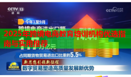 2025年跨境電商教育培訓(xùn)機(jī)構(gòu)優(yōu)選指南與實用推薦