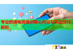 專業(yè)跨境電商培訓(xùn)核心內(nèi)容與實戰(zhàn)技巧解析