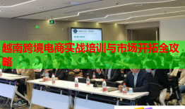 越南跨境電商實(shí)戰(zhàn)培訓(xùn)與市場開拓全攻略