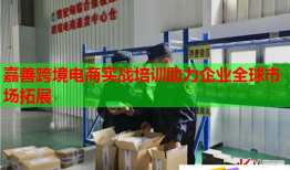 嘉善跨境電商實(shí)戰(zhàn)培訓(xùn)助力企業(yè)全球市場拓展
