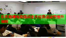 樂(lè)天跨境電商培訓(xùn)全方位實(shí)戰(zhàn)運(yùn)營(yíng)提升課程