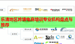 樂清地區(qū)跨境電商培訓專業(yè)機構(gòu)盤點與推薦