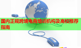 國(guó)內(nèi)正規(guī)跨境電商培訓(xùn)機(jī)構(gòu)及高校推薦指南
