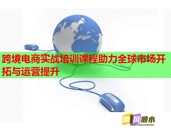 跨境電商實(shí)戰(zhàn)培訓(xùn)課程助力全球市場開拓與運(yùn)營提升