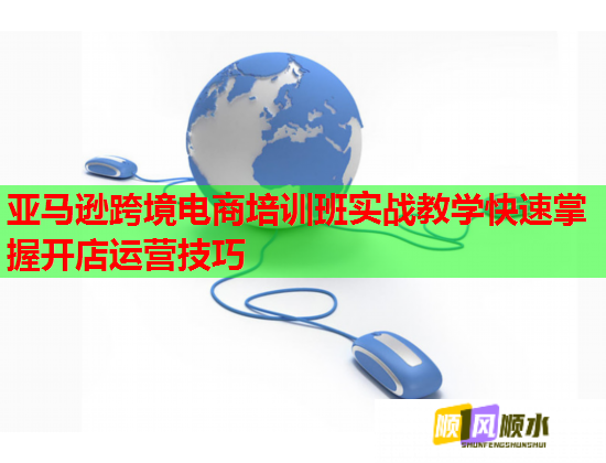 亞馬遜跨境電商培訓(xùn)班實(shí)戰(zhàn)教學(xué)快速掌握開店運(yùn)營技巧