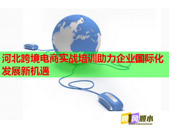 河北跨境電商實戰(zhàn)培訓(xùn)助力企業(yè)國際化發(fā)展新機遇