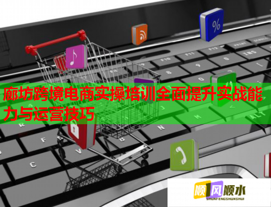 廊坊跨境電商實操培訓(xùn)全面提升實戰(zhàn)能力與運營技巧