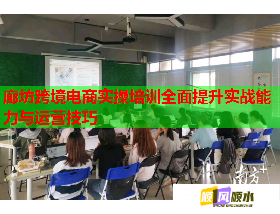 廊坊跨境電商實操培訓(xùn)全面提升實戰(zhàn)能力與運營技巧
