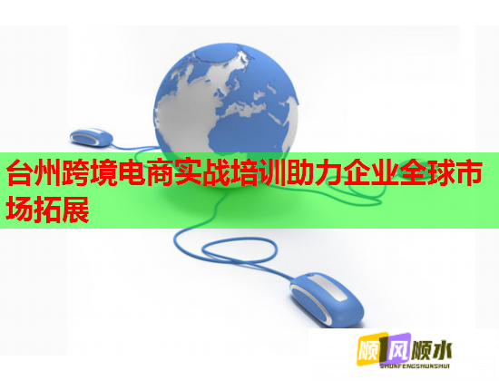 臺州跨境電商實(shí)戰(zhàn)培訓(xùn)助力企業(yè)全球市場拓展