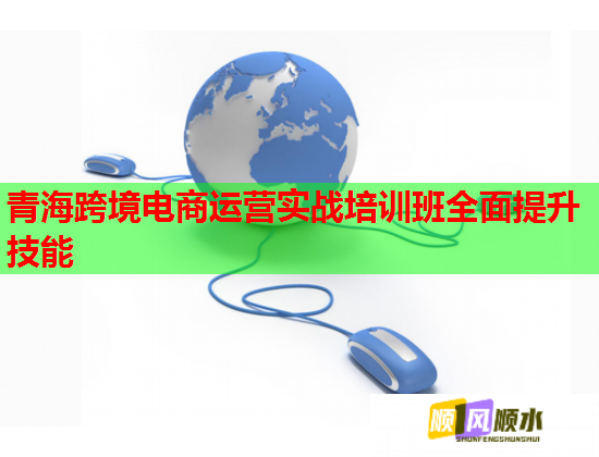 青?？缇畴娚踢\(yùn)營實(shí)戰(zhàn)培訓(xùn)班全面提升技能