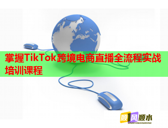 掌握TikTok跨境電商直播全流程實(shí)戰(zhàn)培訓(xùn)課程