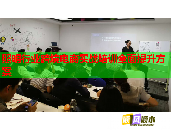 照明行業(yè)跨境電商實戰(zhàn)培訓全面提升方案